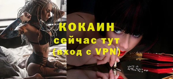 трава Осинники