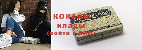 дурь Краснослободск