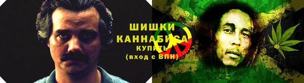2c-b Саяногорск