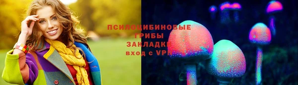 соль ск Семёнов
