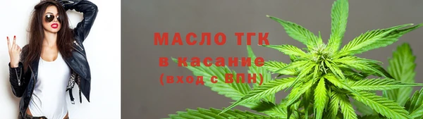 трава Осинники