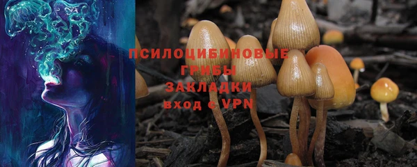 бутират Сатка