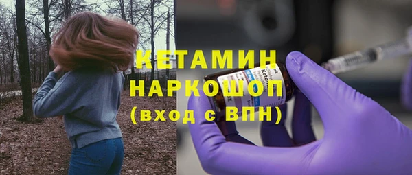 трава Осинники