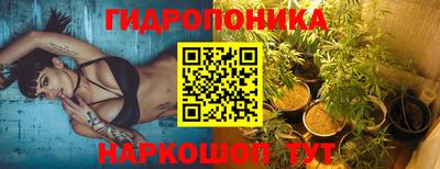 ECSTASY Абакан