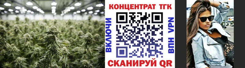 Дистиллят ТГК THC oil  дарнет шоп  Алейск 