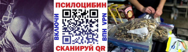 Псилоцибиновые грибы Magic Shrooms  закладки  Алейск 
