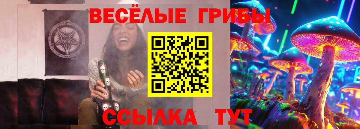 Псилоцибиновые грибы мицелий  купить закладку  Вход с VPN  Алейск  Галлюциногенные грибы MAGIC MUSHROOMS 